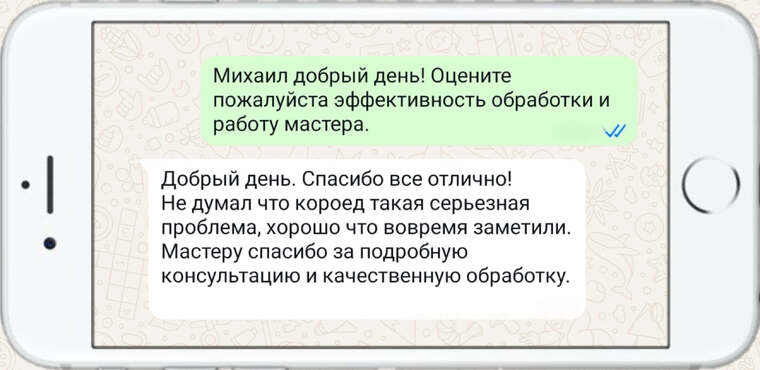дезинфекция земельных участков и жилых помещений - фото №28