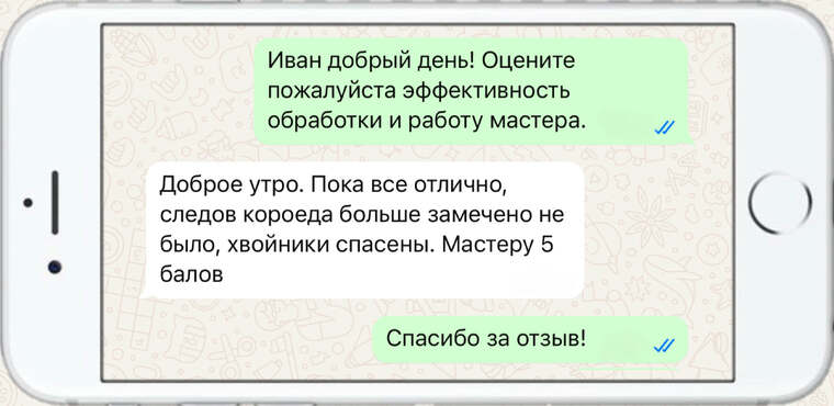 истребление вредителей на деревьях - фото №2